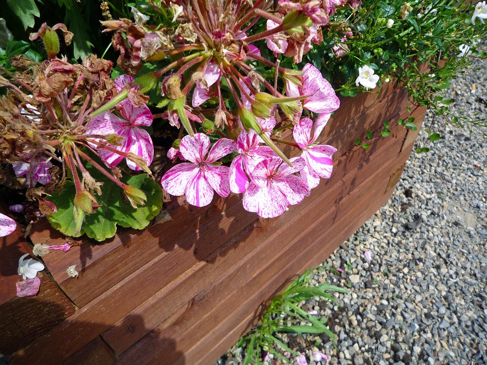 Blumenkasten bepflanzt