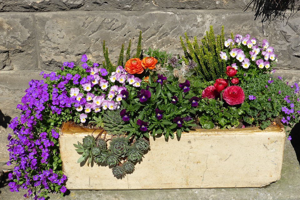 Blumenkasten bepflanzt